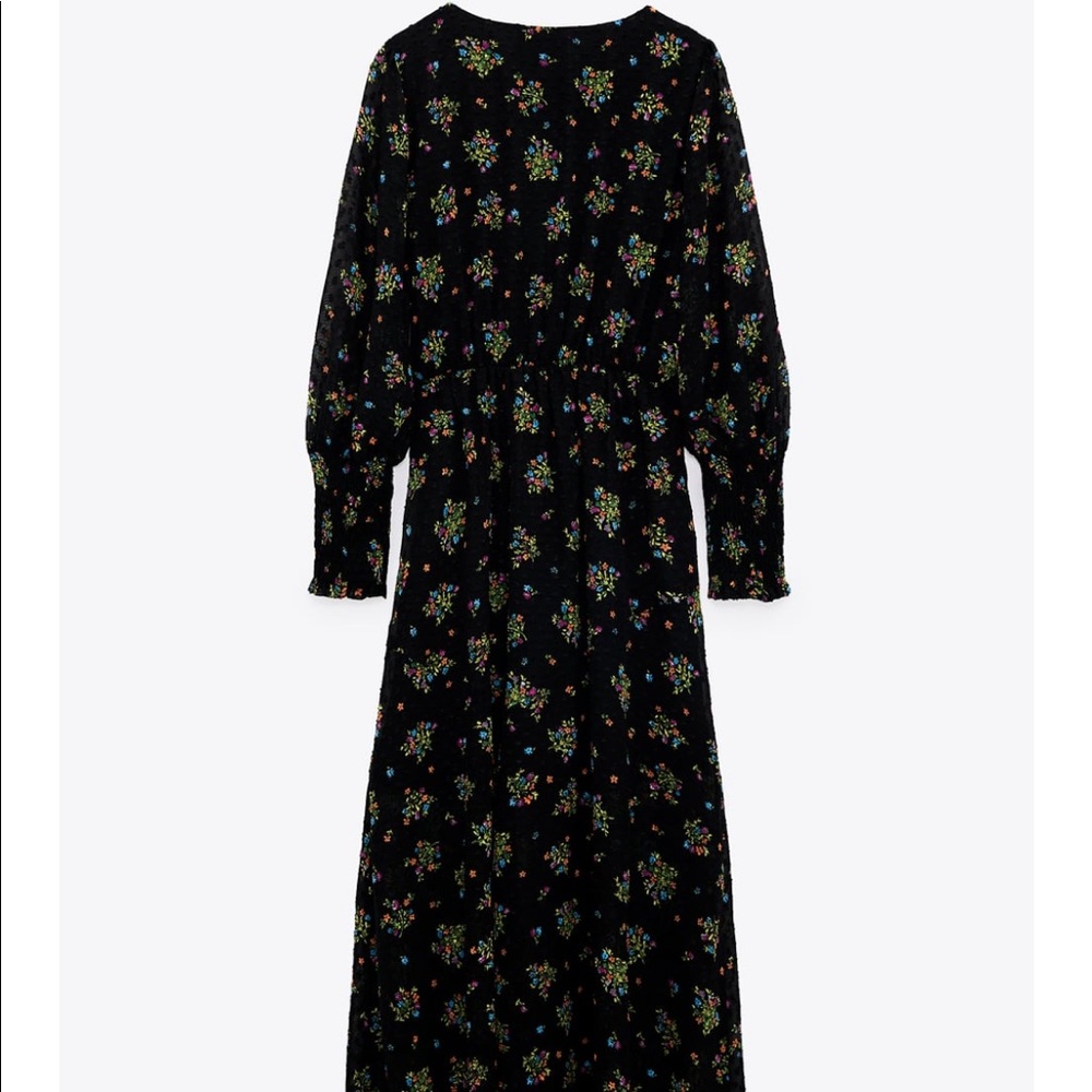 Zara Printed Dotted Mesh Dress - Picture 5 of 7